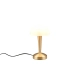 Canaria lampka stołowa 1xE14 złota R59561108 TRIO lighting