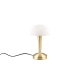 Canaria lampka stołowa 1xE14 złota R59561108
