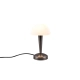 Canaria lampka stołowa 1xE14 czarna, srebrna R59561120 TRIO lighting