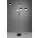 Dito lampa podłogowa 5xE14 czarna R46155032