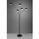 Dito lampa podłogowa 5xE14 czarna R46155032