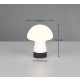Dooley lampka stołowa LED 1,5W 140lm 3000K biała R54981131