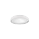 Felis lampa sufitowa LED 24W 2500lm 2700K-6500K biała R64391031