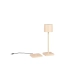 Fernandez lampa ogrodowa LED 1,5W 130lm 2700K, 4000K, 6000K kremowa R54096166