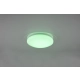 Frodeno lampa sufitowa LED 12W 1200lm 4000K biała 680213500