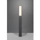 Fuerte lampa stojąca LED 15W 1700lm 3000K antracyt 426260142