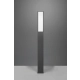 Fuerte lampa stojąca LED 15W 1700lm 3000K antracyt 426260142