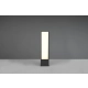 Fuerte lampa stojąca LED 15W 1700lm 3000K antracyt 526260142