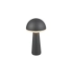 Fungo lampa podłogowa LED 2W 200lm 3000K, 4000K, 5000K antracyt R57716142 TRIO lighting