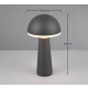 Fungo lampa podłogowa LED 2W 200lm 3000K, 4000K, 5000K antracyt R57716142
