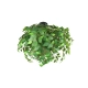 Leavy lampa sufitowa 3xE14 czarna, zielona R60463015