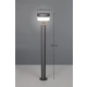 Mackenzie lampa stojąca LED 8W 800lm 3000K antracyt 430561142