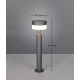 Mackenzie lampa stojąca LED 8W 800lm 3000K antracyt 530561142