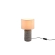 Mala lampka stołowa 1xE27 brązowa, beżowa R50941944 TRIO lighting