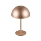 Munoz lampka stołowa LED 1,3W 120lm 3000K brązowa R54891165 TRIO lighting