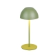 Ortiz lampka stołowa LED 2W 150lm 3000K zielona R55601115 TRIO lighting