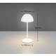Ortiz lampka stołowa LED 2W 150lm 3000K biała R55601131