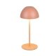 Ortiz lampka stołowa LED 2W 150lm 3000K brązowa R55601140 TRIO lighting