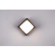 Puno kinkiet LED 8W 800lm 3000K czarny R27026132