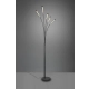Reed lampa podłogowa LED 5x3,5W 5x350lm 3000K czarna R41031532