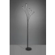 Reed lampa podłogowa LED 5x3,5W 5x350lm 3000K czarna R41031532