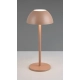 Ricardo lampa ogrodowa LED 1,7W 240lm 3000K brązowa R54106165 TRIO lighting