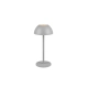 Ricardo lampa podłogowa LED 2W 240lm 3000K szara R54106177 TRIO lighting