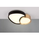 Rise lampa sufitowa LED 21W 2400lm 2700K-6500K czarna, złota 647510280