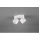 Taurus lampa sufitowa LED 2x3,5W 2x340lm, 2x1,5W 110lm 3000K biała 652910231