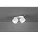 Taurus lampa sufitowa LED 2x3,5W 2x340lm, 2x1,5W 110lm 3000K biała 652910231