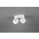 Taurus lampa sufitowa LED 2x3,5W 2x340lm, 2x1,5W 110lm 3000K biała 652910231