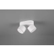 Taurus lampa sufitowa LED 2x3,5W 2x340lm, 2x1,5W 110lm 3000K biała 652910231