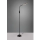 Toro lampa podłogowa LED 5W 700lm 3000K, 4000K, 5000K czarna R47641102