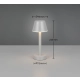 Vidal lampka stołowa LED 1,5W 150lm 3000K szara R54991177