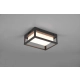 Witham kinkiet LED 10W 1100lm 2300K, 3000K, 4000K antracyt 277860142