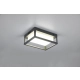 Witham kinkiet LED 10W 1100lm 2300K, 3000K, 4000K antracyt 277860142
