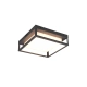Witham lampa sufitowa LED 14W 1550lm 2300K, 3000K, 4000K antracyt 677860142 TRIO lighting