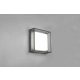 Witham lampa sufitowa LED 14W 1550lm 2300K, 3000K, 4000K antracyt 677860142