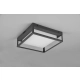 Witham lampa sufitowa LED 14W 1550lm 2300K, 3000K, 4000K antracyt 677860142