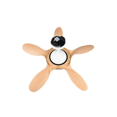 Flen lampa sufitowa LED 24W 2800lm CCT biała, naturalna R69682130