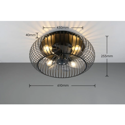 Johanna lampa sufitowa 4xE27 czarna, biała R66884032