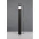 Tagus lampa stojąca IP65 LED 13W 1500lm CCT czarna 438560142