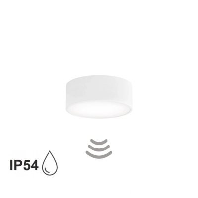 Cleo 200 IP54 lampa sufitowa 1 x E27 biała z czujnikiem ruchu Temar Lighting