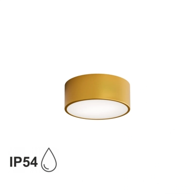 Cleo 200 IP54 lampa sufitowa 1 x E27 złota Temar Lighting