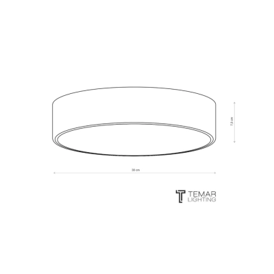 Cleo 300 lampa sufitowa 2 x E27 szara