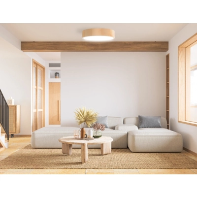 Cleo DR275 lampa sufitowa 2 x E27 sosna z czujnikiem ruchu