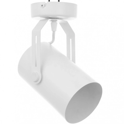 Cleo RF lampa sufitowa 1 x E27 biała Temar Lighting