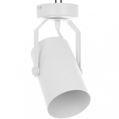 Cleo RF lampa sufitowa 1 x E27 biała