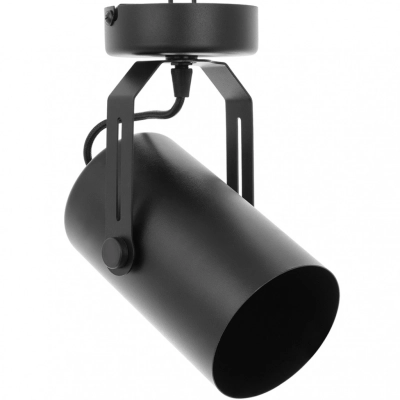 Cleo RF lampa sufitowa 1 x E27 czarna Temar Lighting