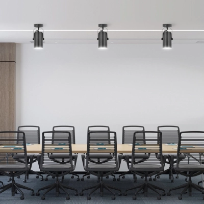 Cleo RF lampa sufitowa 1 x E27 czarna